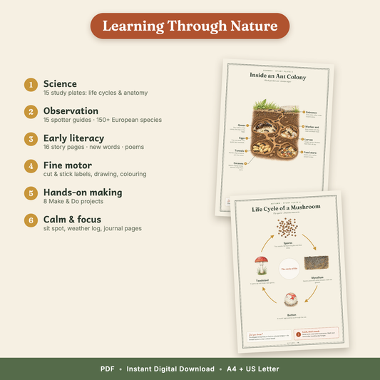 The Little Naturalist's Year | Nature Journal for Kids Ages 3–8 | 152-Page European Nature Study Bundle | 4 Season Books, Stories, Parent Guide & Posters | Printable PDF