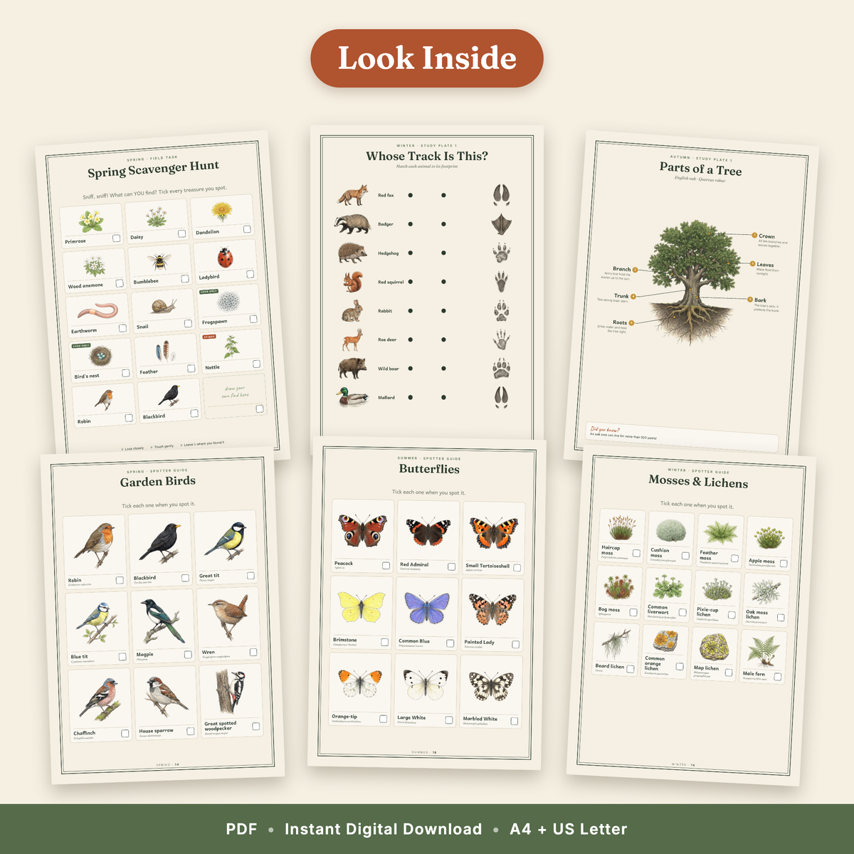 The Little Naturalist's Year | Nature Journal for Kids Ages 3–8 | 152-Page European Nature Study Bundle | 4 Season Books, Stories, Parent Guide & Posters | Printable PDF