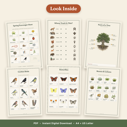 The Little Naturalist's Year | Nature Journal for Kids Ages 3–8 | 152-Page European Nature Study Bundle | 4 Season Books, Stories, Parent Guide & Posters | Printable PDF