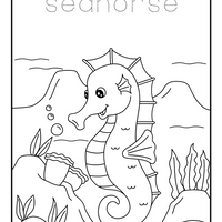 Homeschool Ocean Life Coloring and Tracing Book