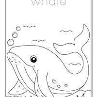 Homeschool Ocean Life Coloring and Tracing Book
