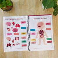Human Anatomy Busy Book Printable Preschool Worksheets Homeschool Resources Anatomy Preschool Curriculum Learning Toddler Activities
